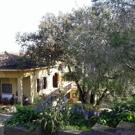 B&B Coldulivo Capoterra Bagian luar foto