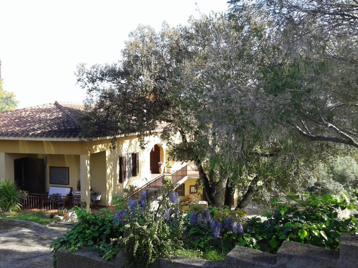 B&B Coldulivo Capoterra Bagian luar foto